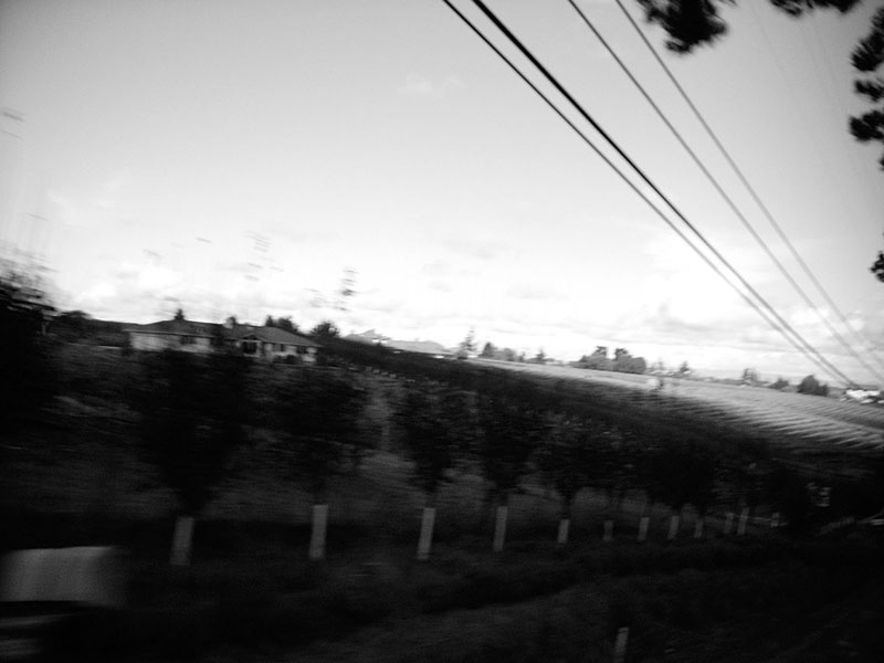 12/04/2001 - Sonoma County, CA