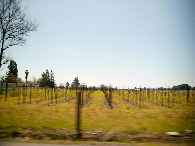 04/05/2002 - Vineland Pt. 2, Sonoma County, CA