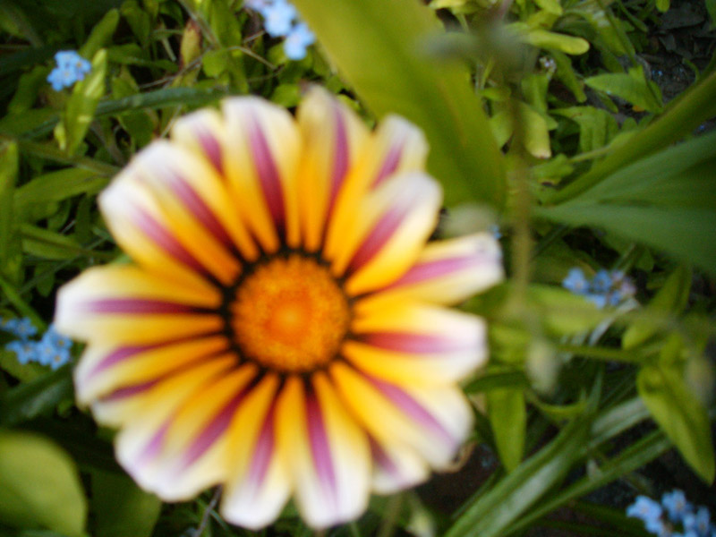 04/13/2002 - It's 77 Degrees Today, Oakland, CA