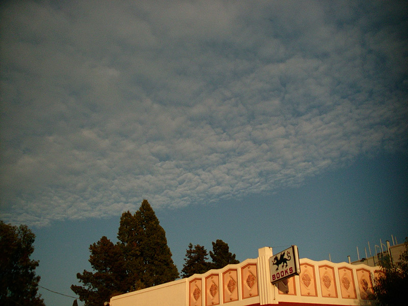 :: books :: oakland :: california ::