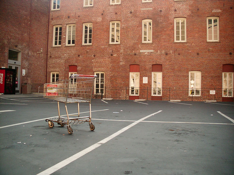 :: thanksgiving day :: oakland :: california ::