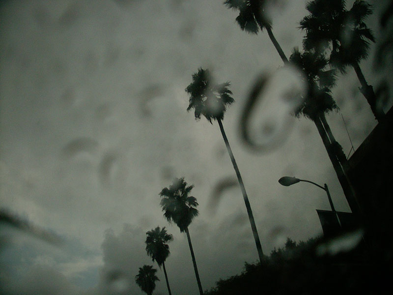 :: you should have heard the thunder :: los angeles :: california ::