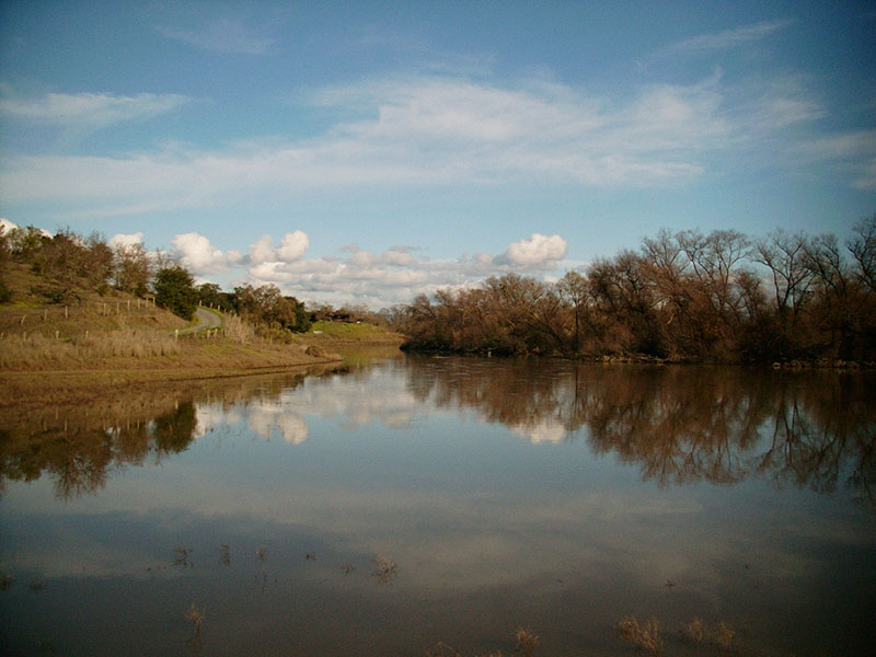 :: flooded vineyards :: sonoma county :: california ::