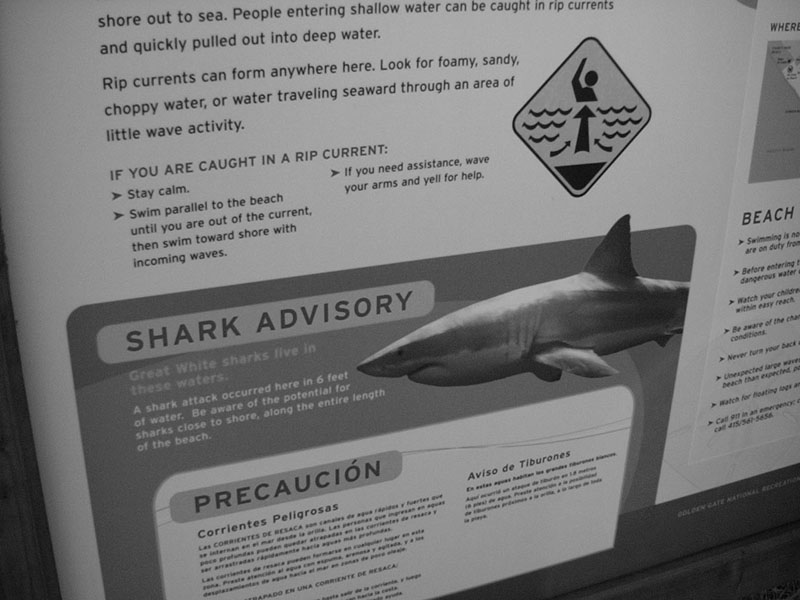 02/02/2002 - Shark Advisory, Stinson Beach, CA