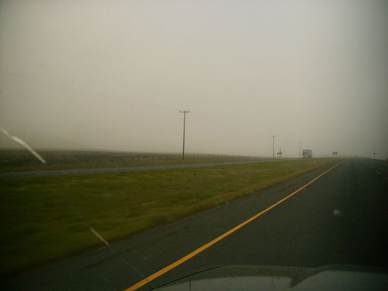 02/06/2002 - Foggy Morning, Sonoma County, CA