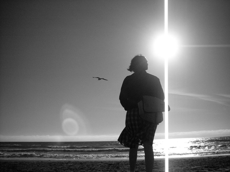 02/08/2002 - Miss Rodeo America & Seagull VS. The Pacific Ocean, Stinson Beach, CA