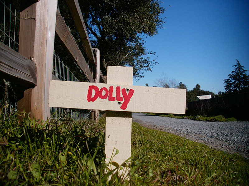 02/10/2002 - RIP, Sebastopol, CA