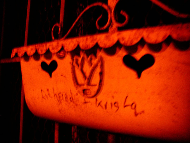 02/26/2002 - RICHARD + KRISHA, San Francisco, CA