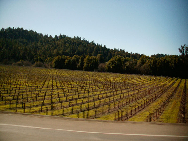 01/31/2002 - River Road, Sonoma County, CA
