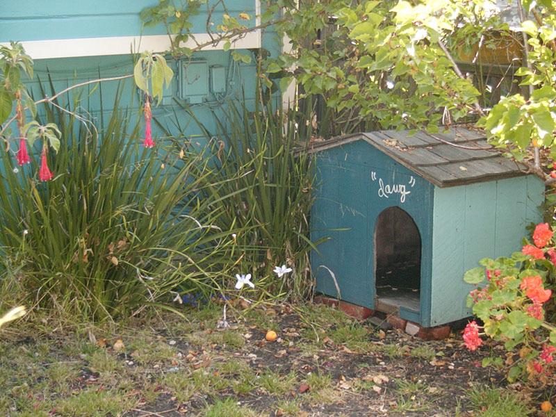 07/01/2002 - Dawg, West Berkeley, CA