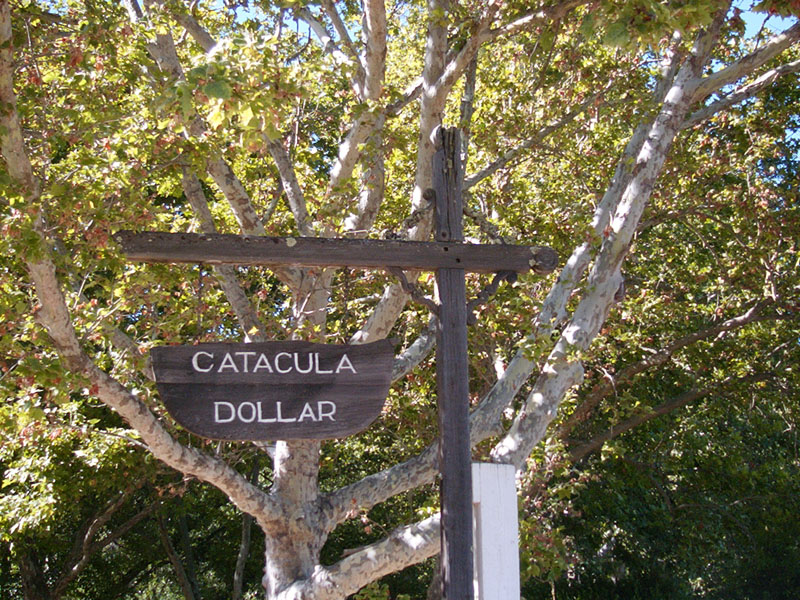 07/06/2002 - Catacula Dollar, Pope Valley, CA