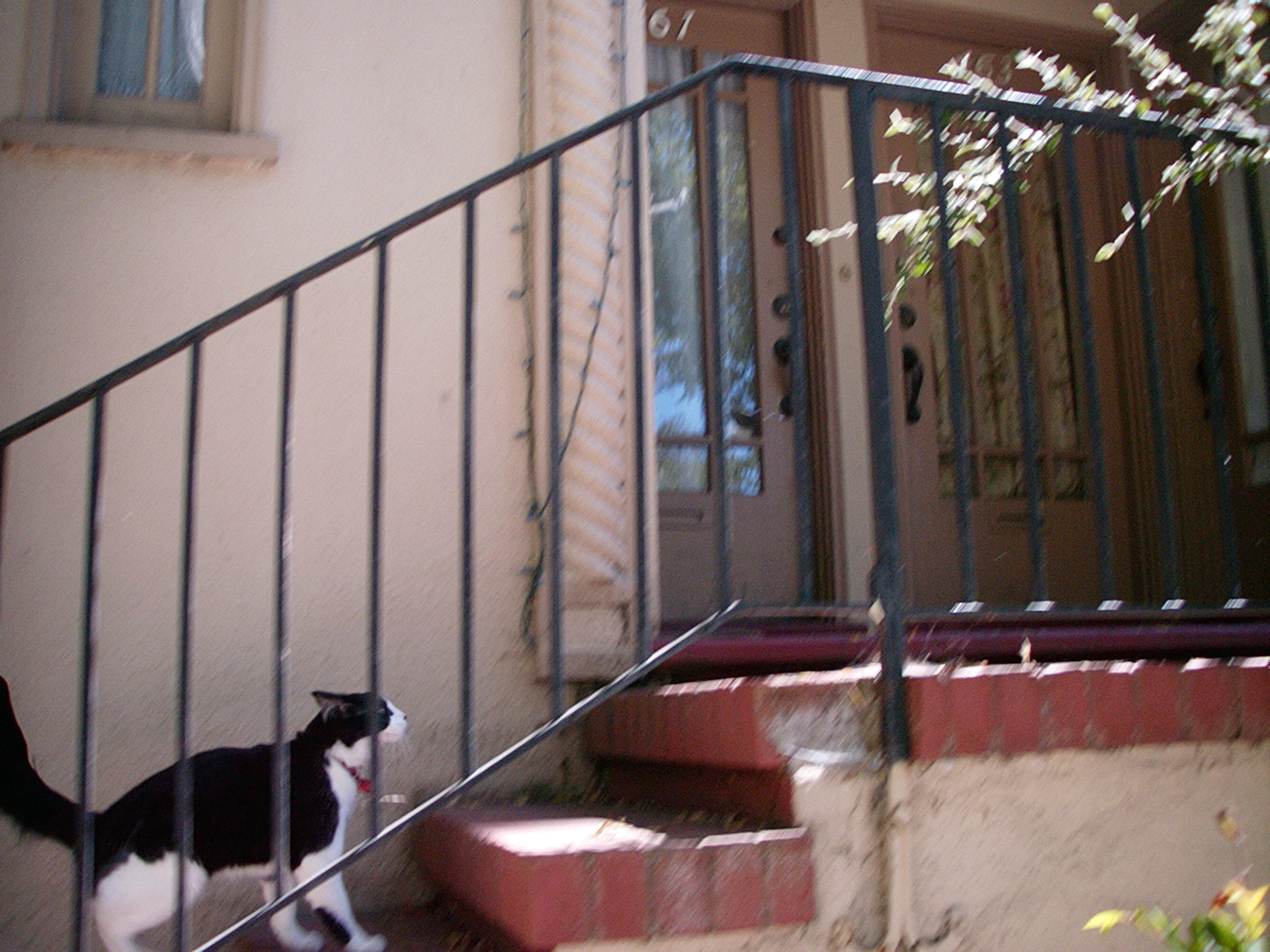 07/13/2002 - Bunny Follows Me, Oakland, CA