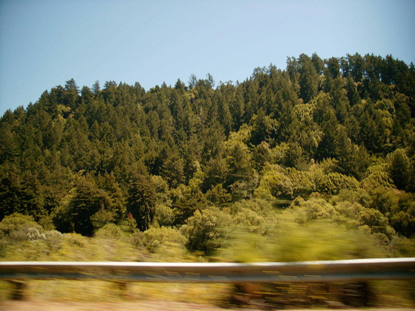 07/21/2002 - Green #2, Duncan Mills, CA