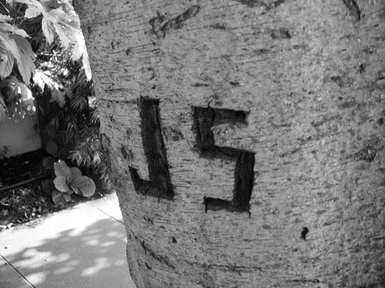 07/28/2002 - Sweetwater Springs Road, Sonoma County, CA