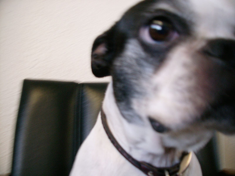 06/13/2002 - Yummy, Berkeley, CA