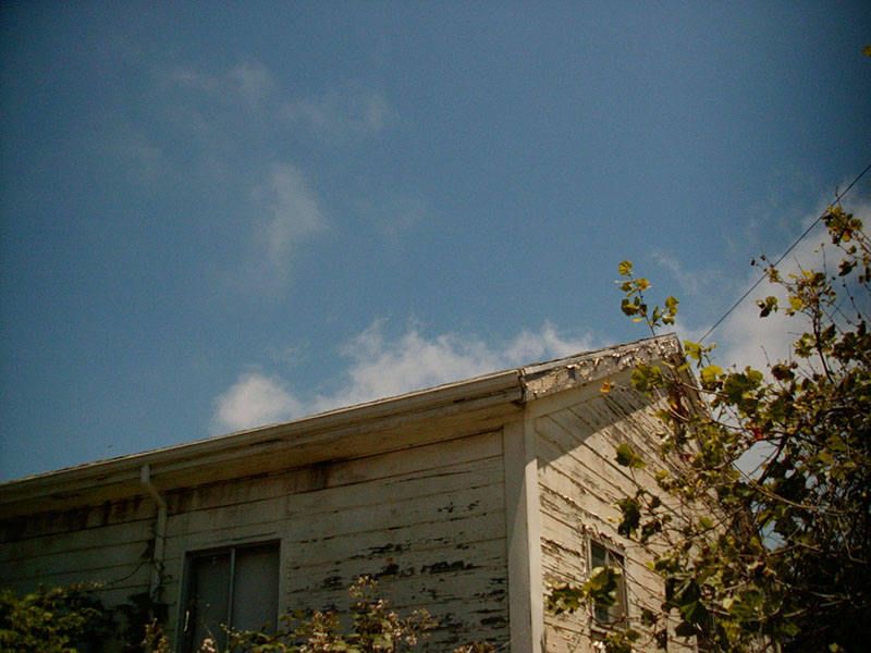 06/21/2002 - Get Out Of Work Free Card, Berkeley, CA