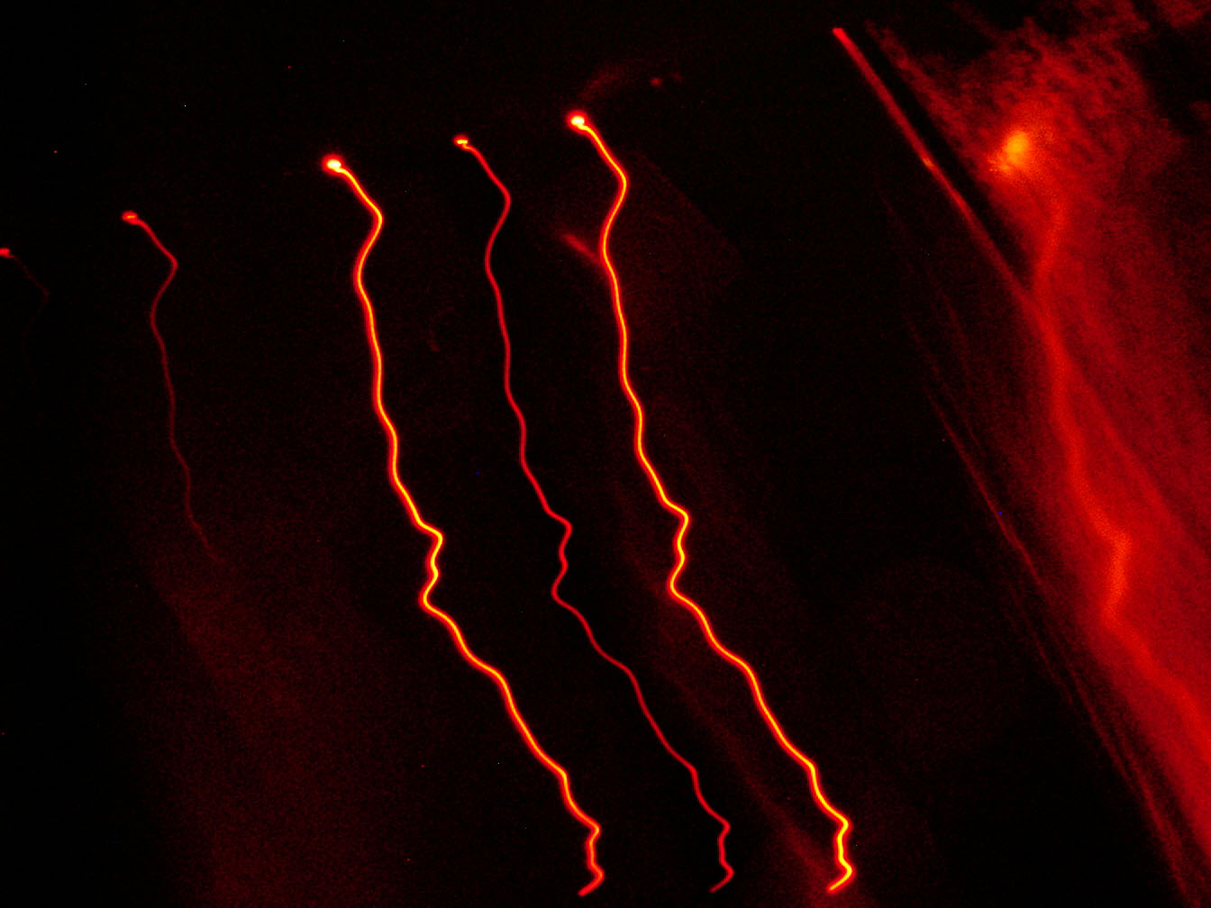 06/25/2002 - Edinburgh Castle, San Francisco, CA