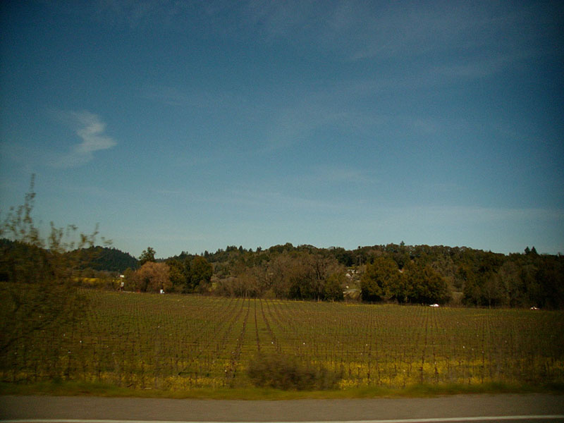 03/11/2002 - When I Knew The Sun, Forestville, CA