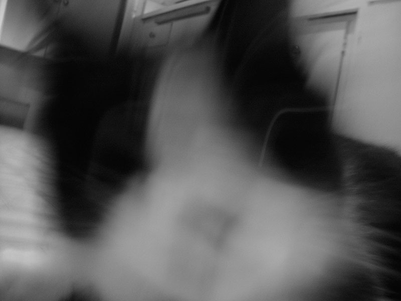 05/30/2002 - Bunny Ate My Camera, Oakland, CA