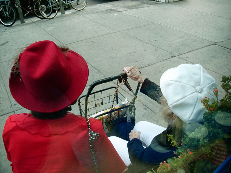 :: out in the afternoon :: new york :: new york ::