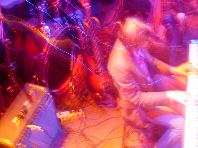 :: birds of america :: san francisco :: california ::