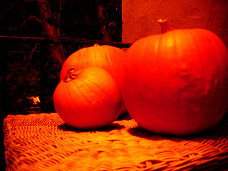 :: pumpkins :: oakland :: california ::
