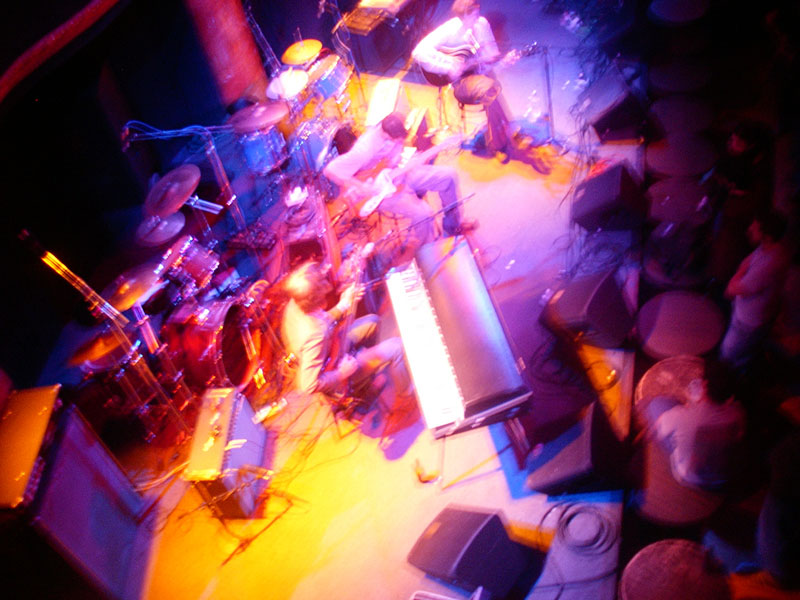 :: birds of america #2 :: san francisco :: california ::