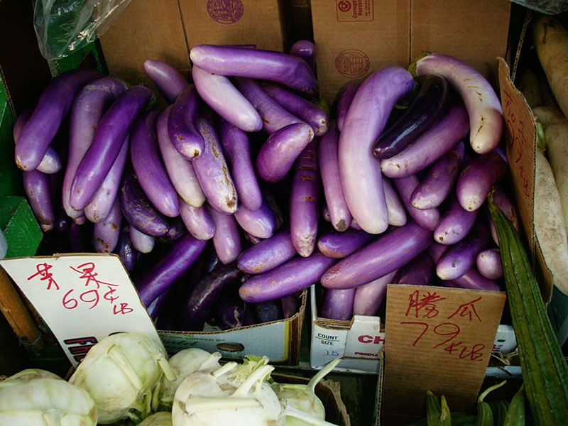 :: kind of blue :: oakland :: california ::