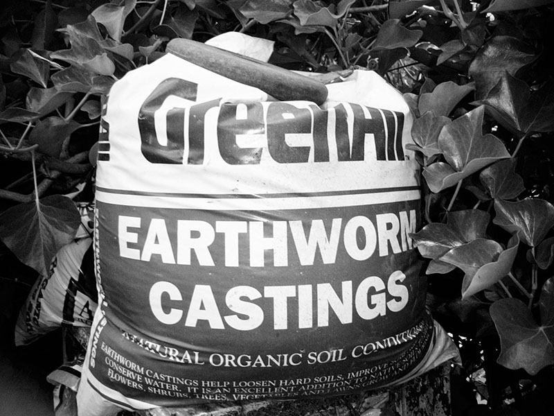 :: earthworm castings :: oakland :: california ::