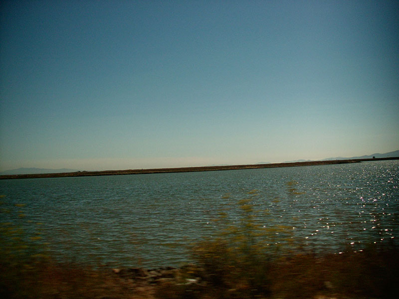 :: highway 37 :: sonoma county :: california ::