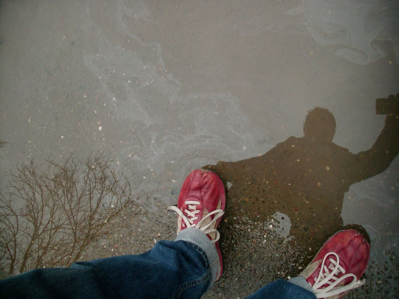 :: greasy :: santa rosa :: california ::