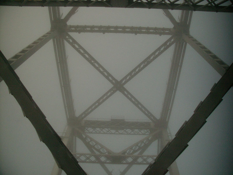 :: foggy morning #1 :: richmond :: california ::